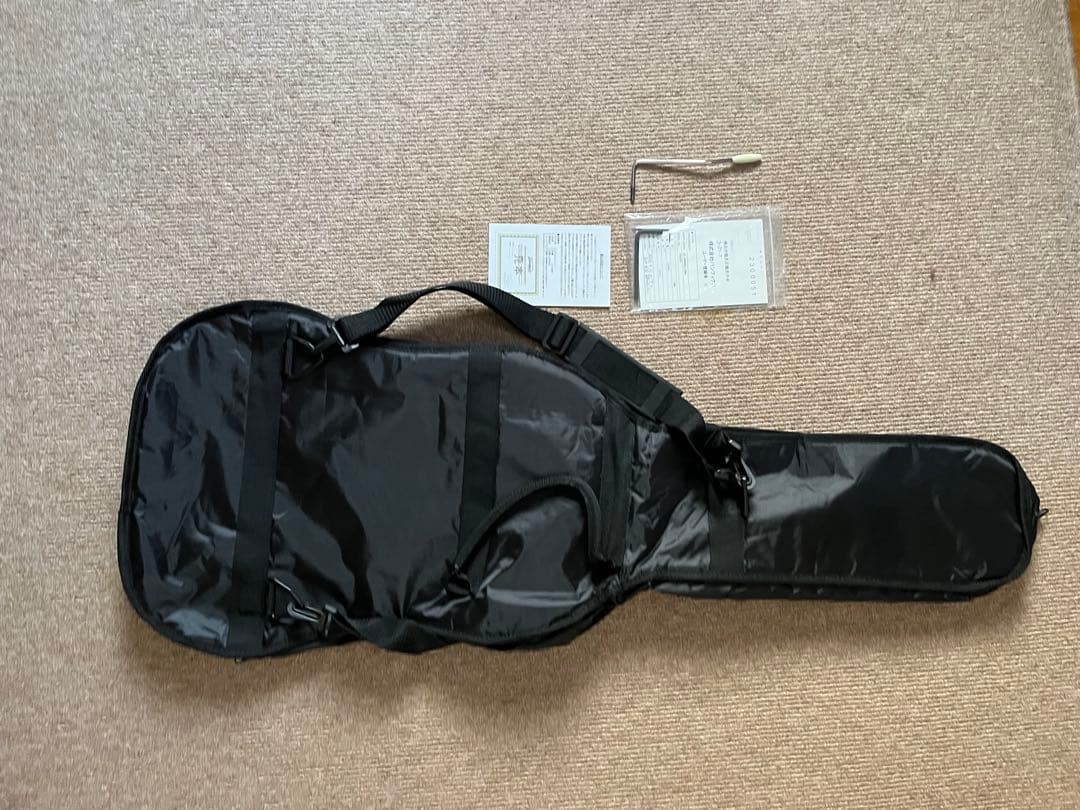 Rrovidence pS-204RSC OWH エレキギター