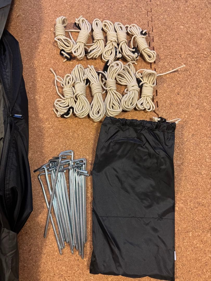 サバティカル　アルニカ　未使用品（おまけ付き）