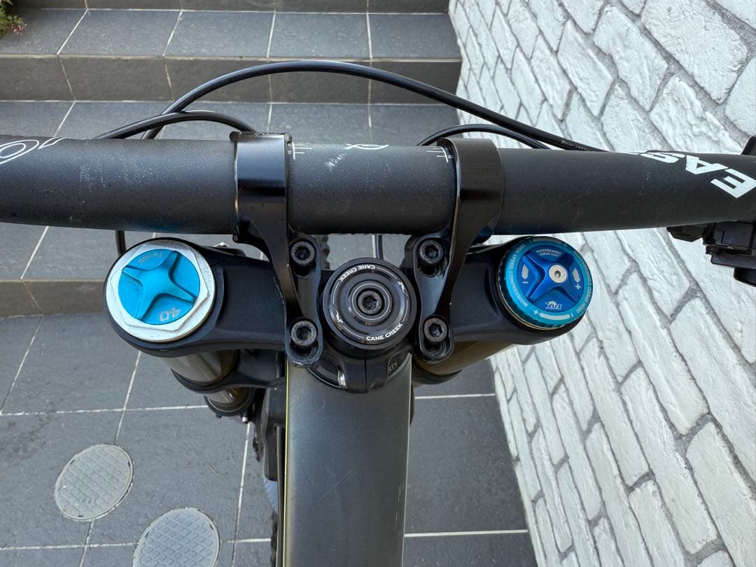 れん SANTA CRUZ V10.5 26 inch Sサイズ