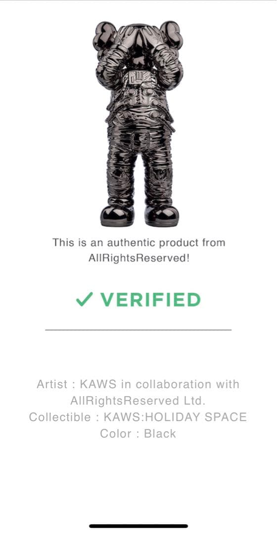 KAWS HOLIDAY SPACE BLACK カウズ　スペース
