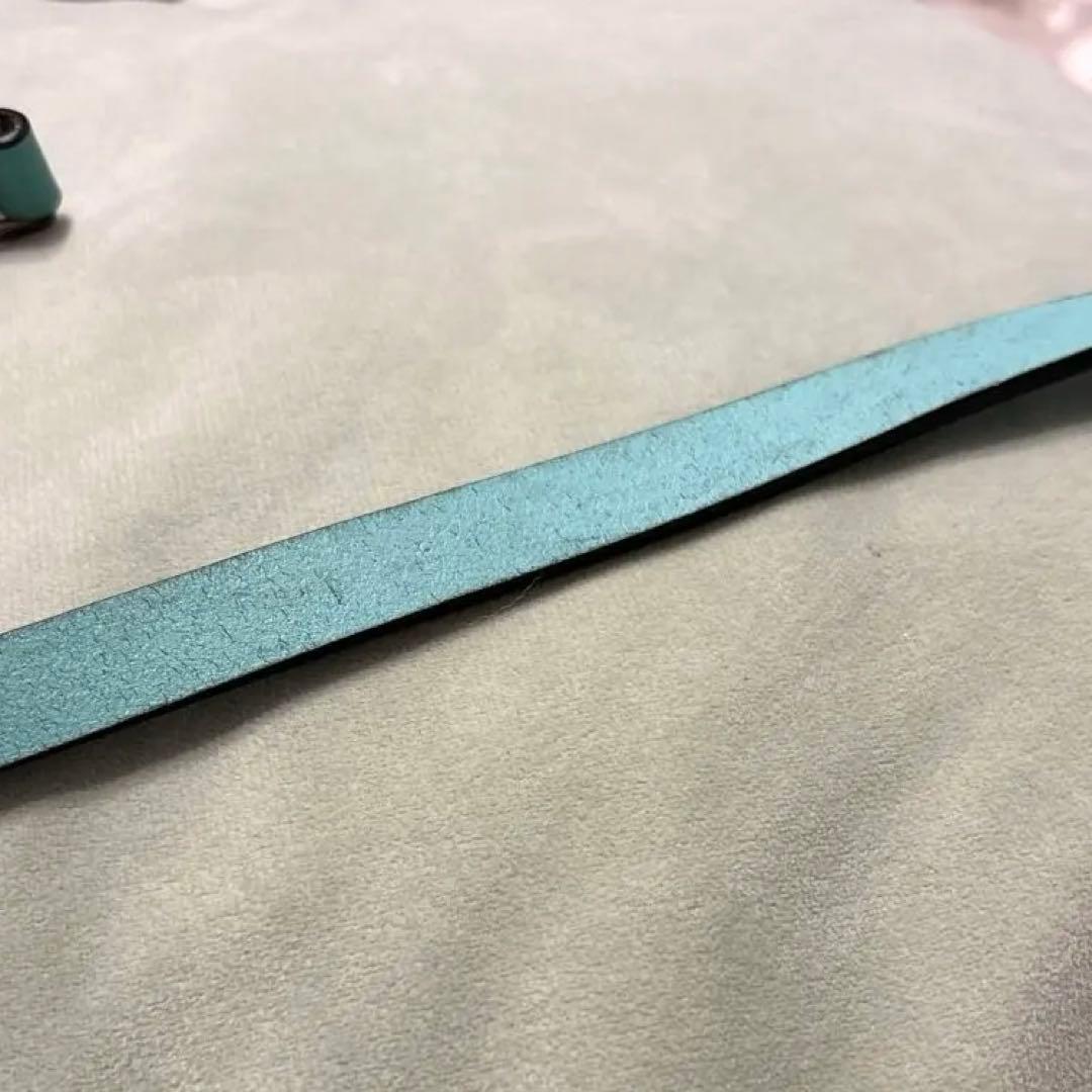 本日限定値下げ！Tiffany&Co. リード　ティファニー　ペット