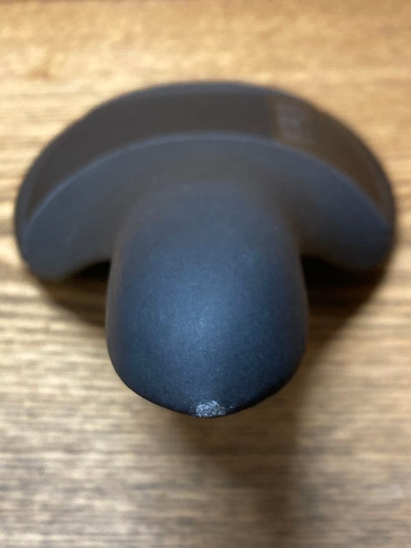 ■fi'zi:k：ALIANTE R1 サドル