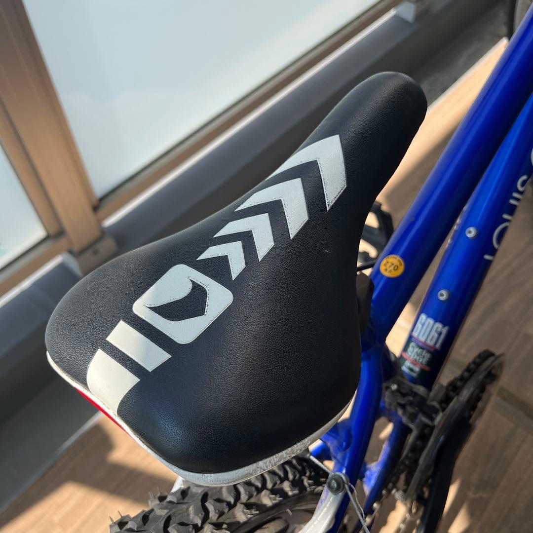 ルイガノ　キッズバイク 22インチ