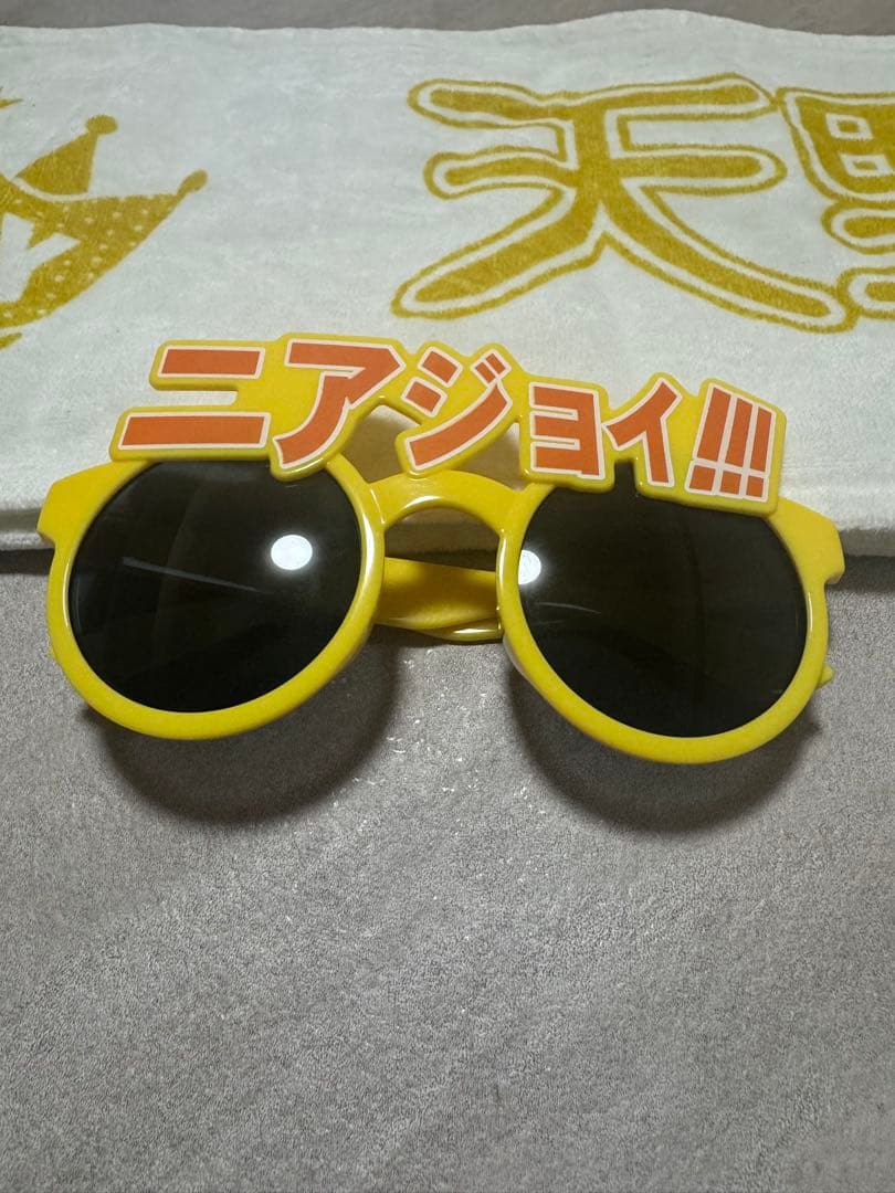 天野香乃愛 まとめ売り ビブス マフラータオル ニアジョイサングラス