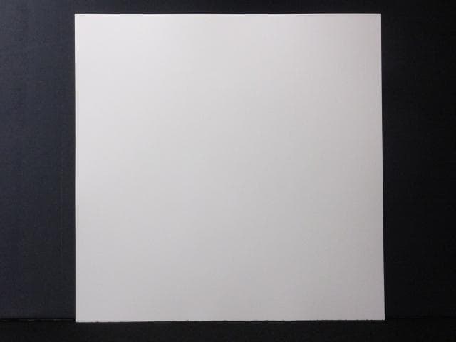 現代アート天野タケル サイン入COA付『Venus with cat』1205F