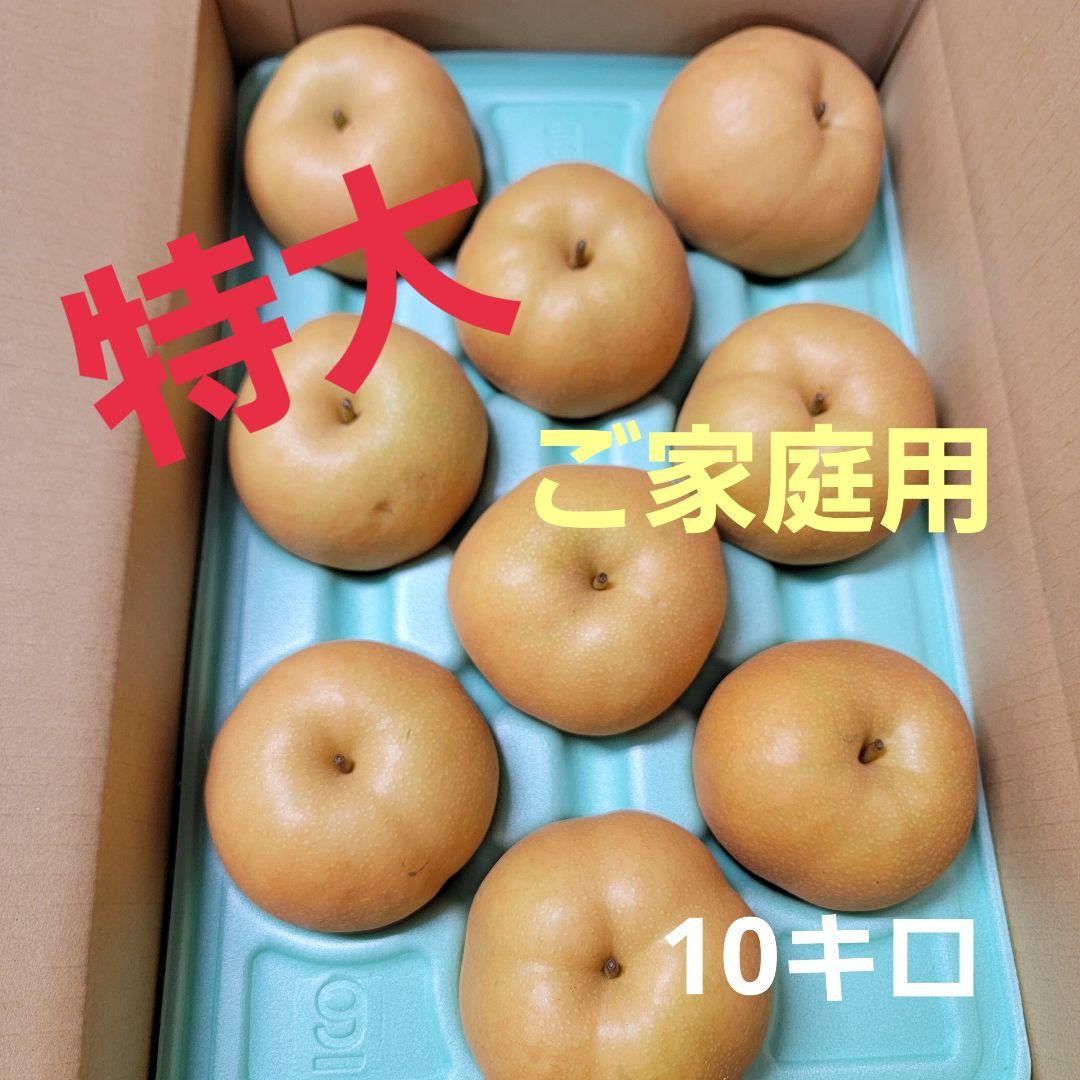 南水特大ご家庭用10切ら