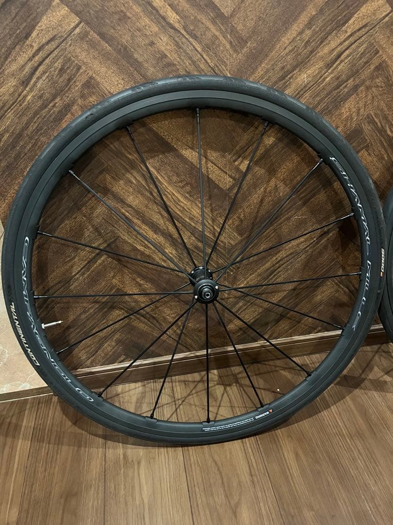 こいけん　シャマルミレc17