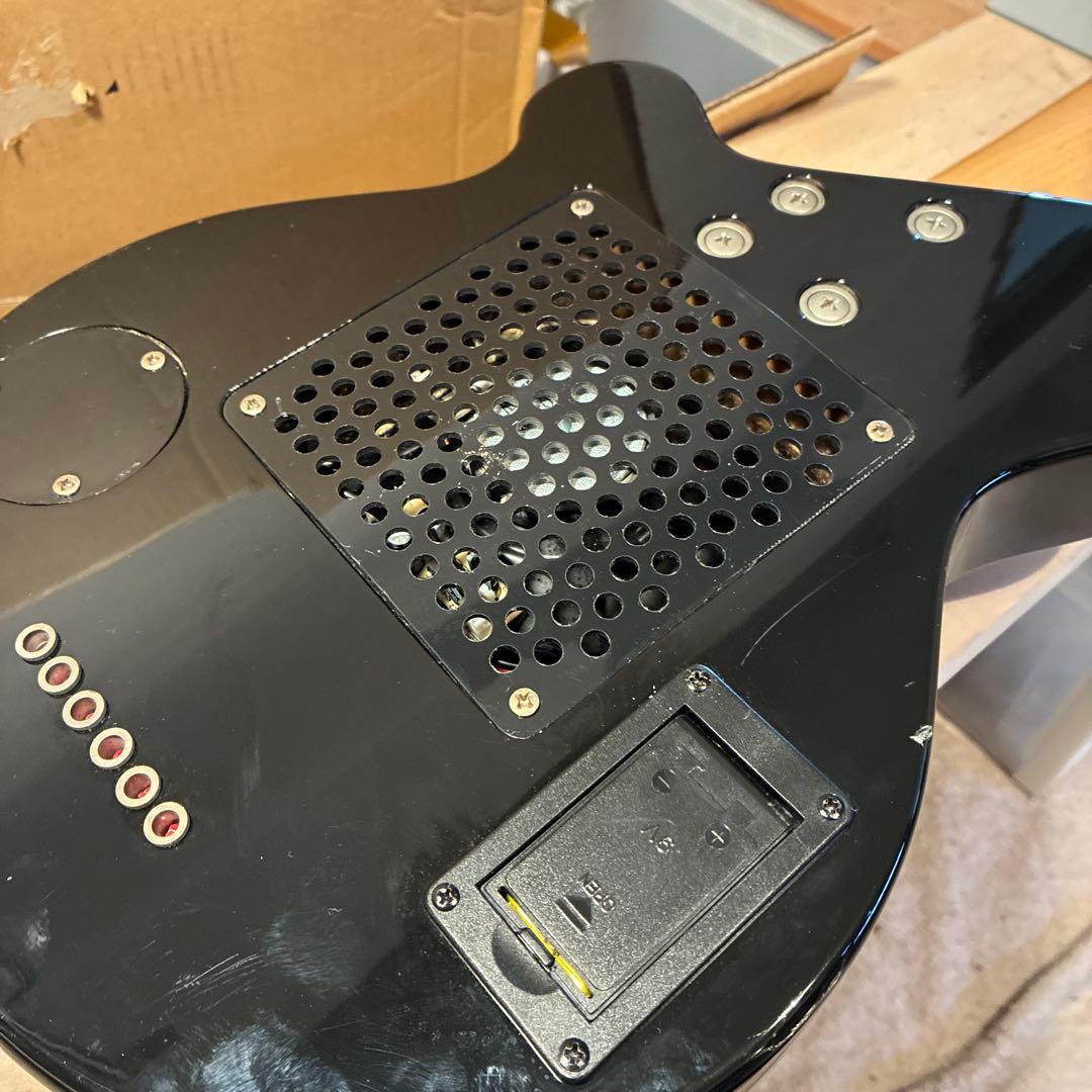 ピグノーズPGG200 サンバースト