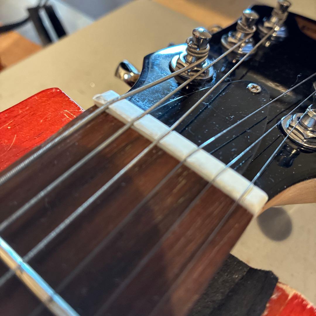 ピグノーズPGG200 サンバースト