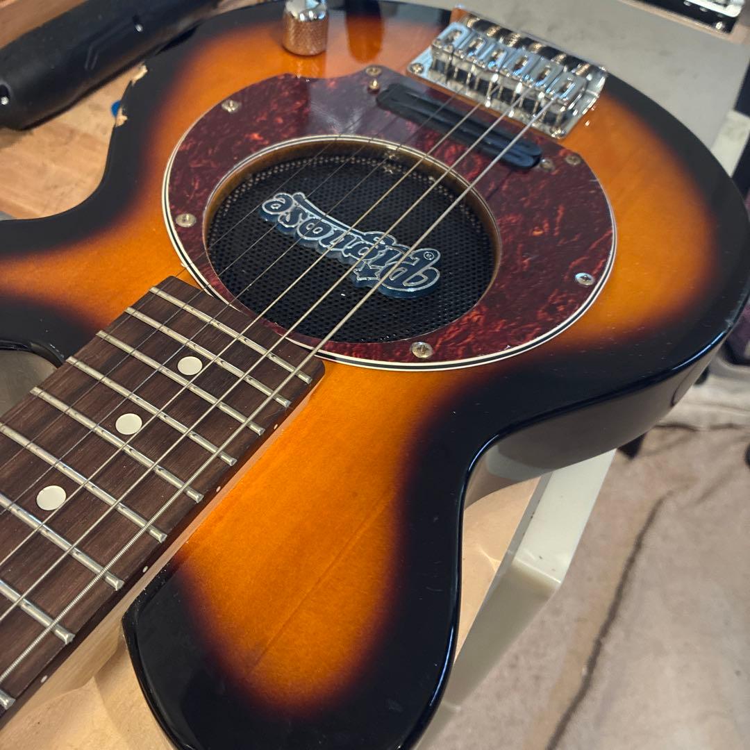 ピグノーズPGG200 サンバースト