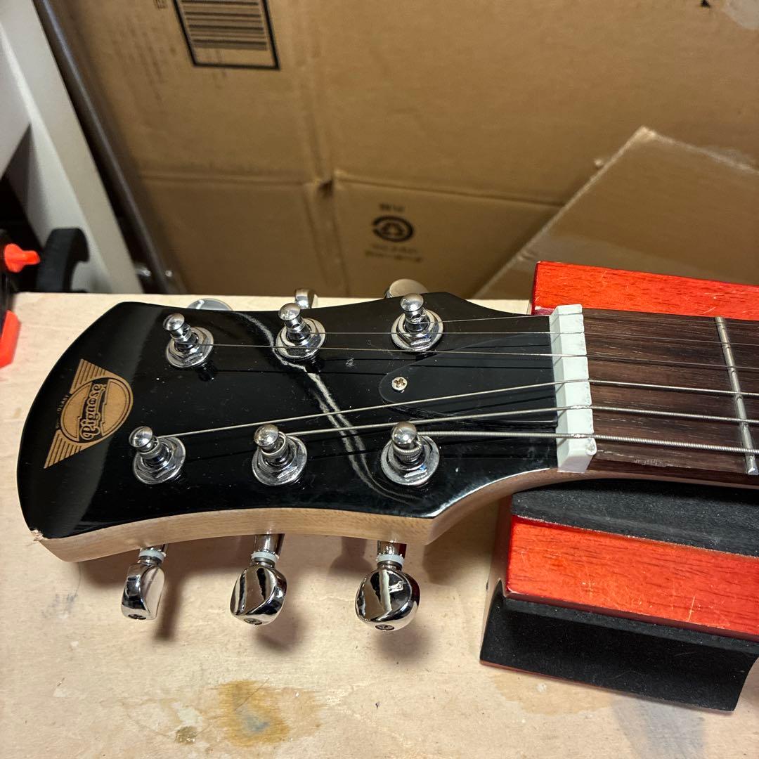 ピグノーズPGG200 サンバースト