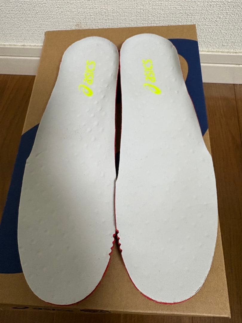 シューズ ASICS DS-LIGHT X-FLY PRO3 26.0cm