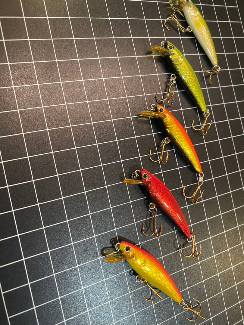 チップミノー　4F