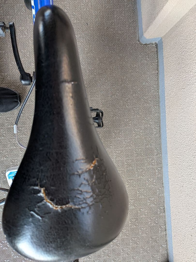 尼崎引取限定　GIOS GENOVA 子供用自転車 20インチ青