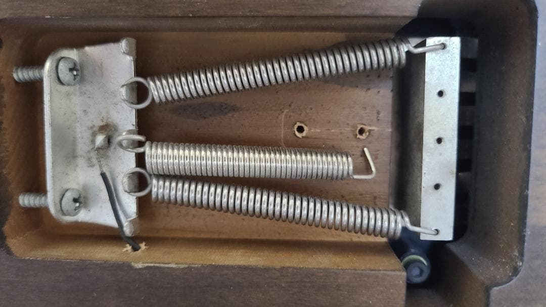 ギター ESP LTD GL Burnt Tiger