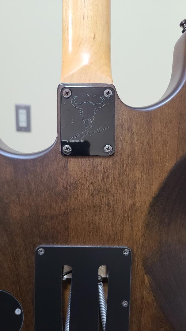 ギター ESP LTD GL Burnt Tiger