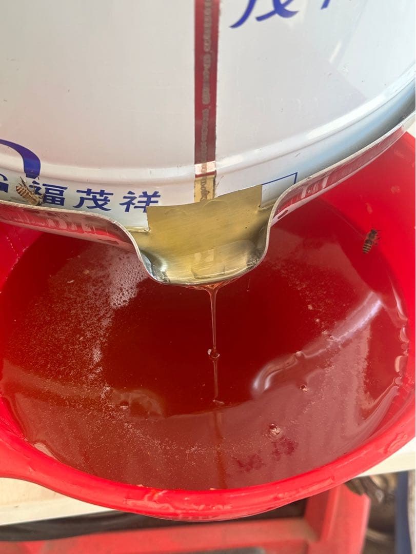 日本みつばち1800g