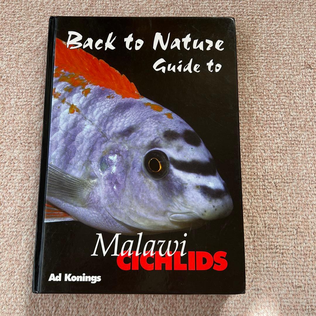 洋書　マラウイ シクリッド　Malawi Cichlids２
