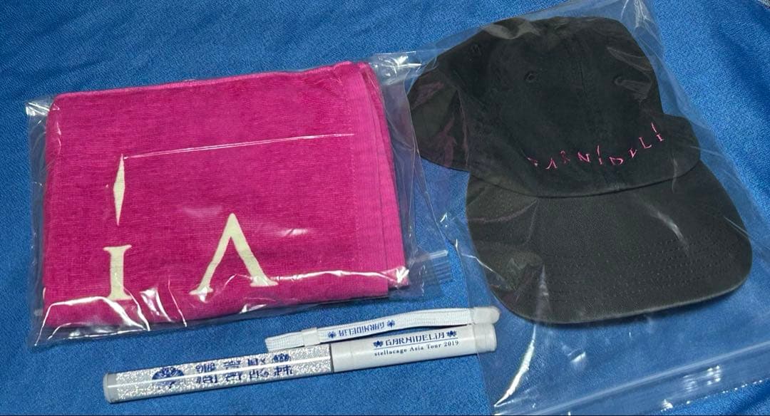 GARNiDELiA MARiA 美依礼芽 ブロマイド ミニカード ペンライト他