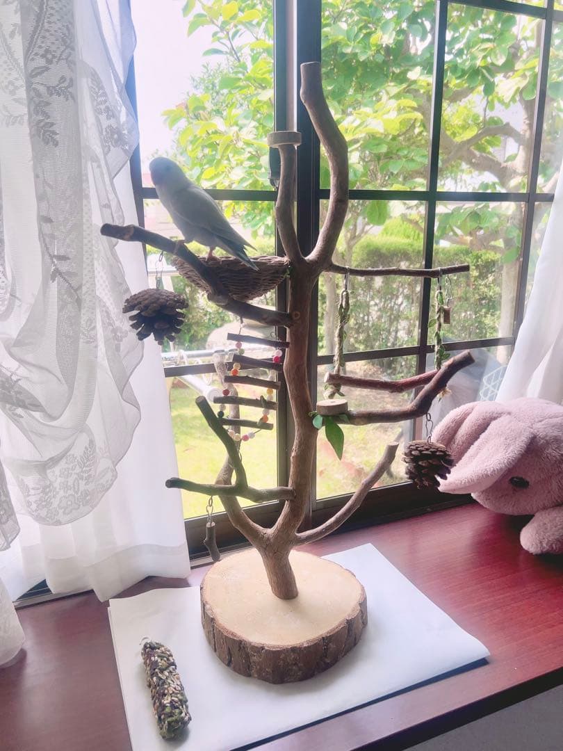 天然木製ツリー型止まり木　高65cm バードアスレチック ジム 小鳥　ブランコ