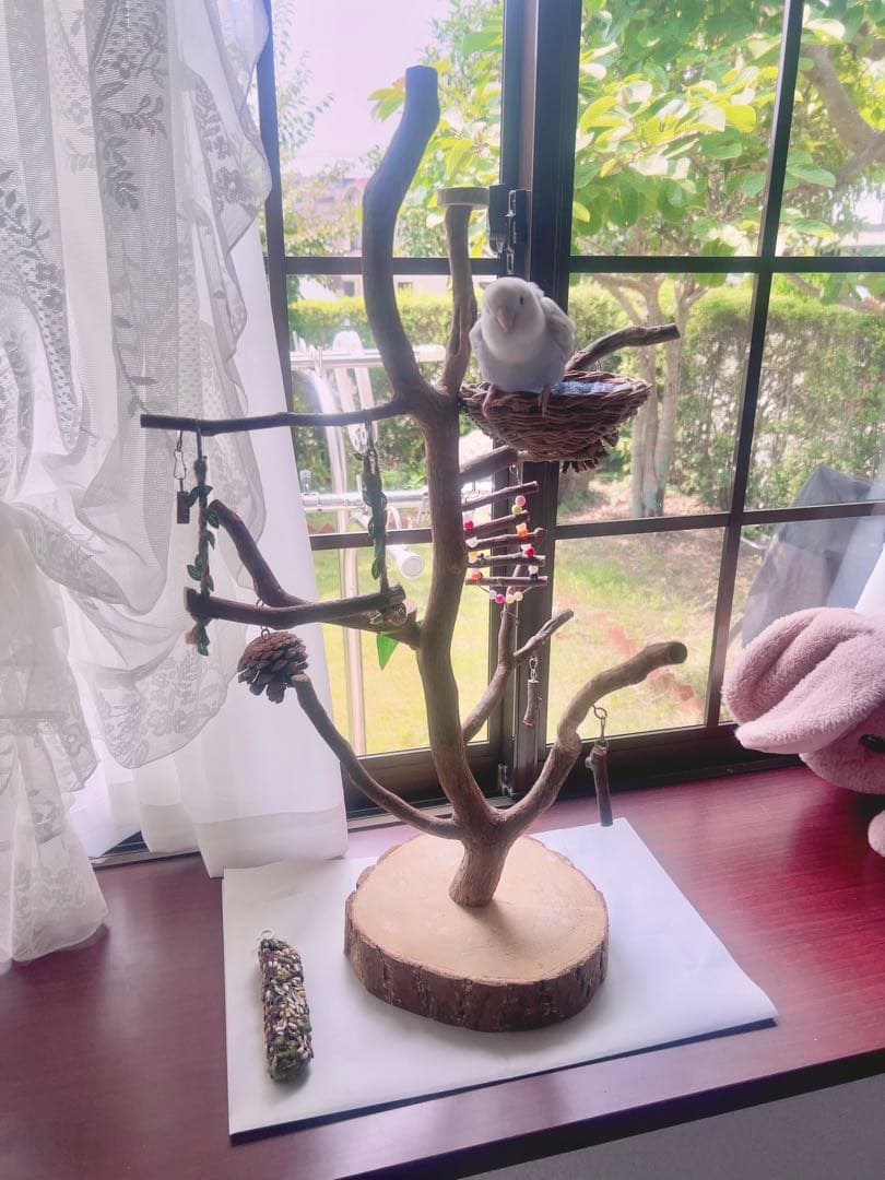 天然木製ツリー型止まり木　高65cm バードアスレチック ジム 小鳥　ブランコ