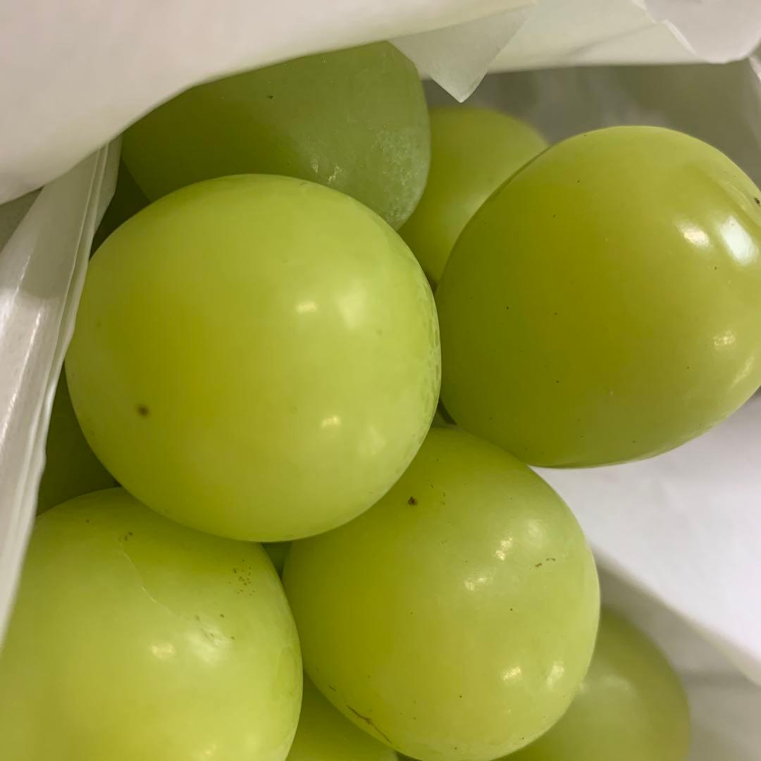 大粒シャインマスカット（房5キロ）