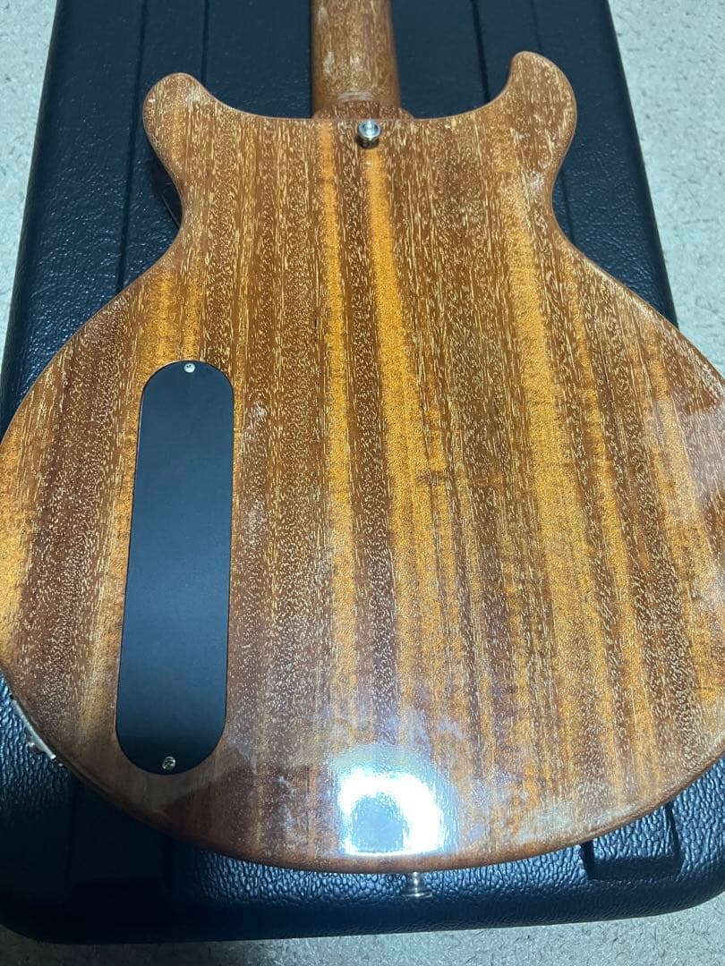 cassy 専用　provision プロビジョン　レスポールスペシャル　DC