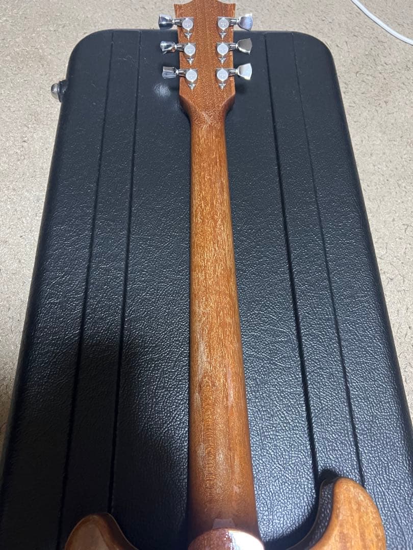 cassy 専用　provision プロビジョン　レスポールスペシャル　DC