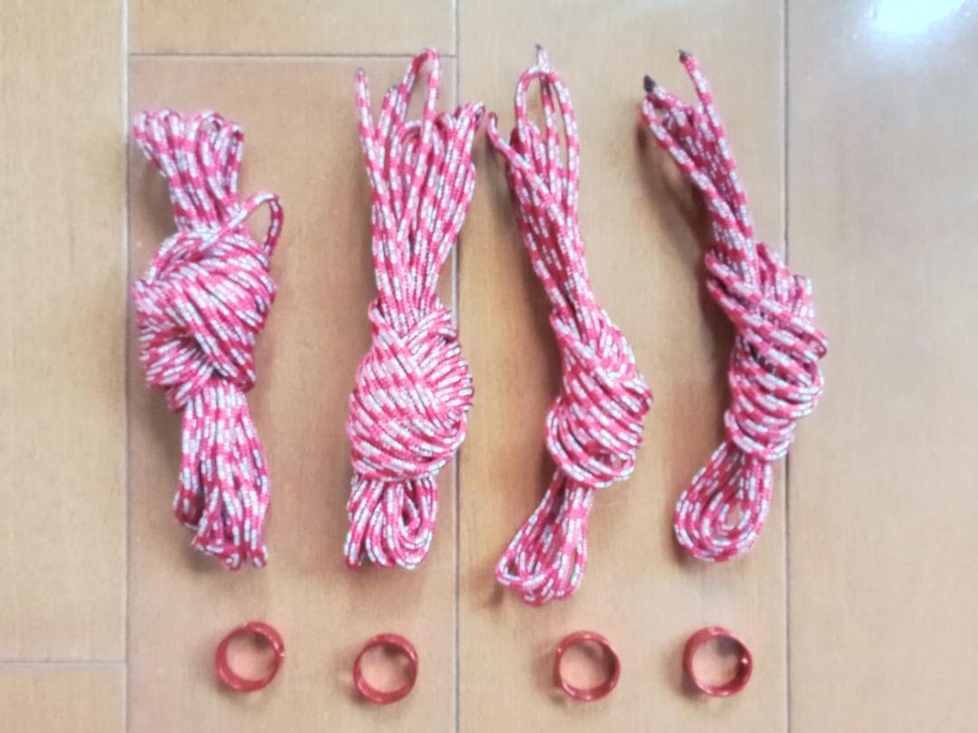 MSR フリーライト2（37009） 他