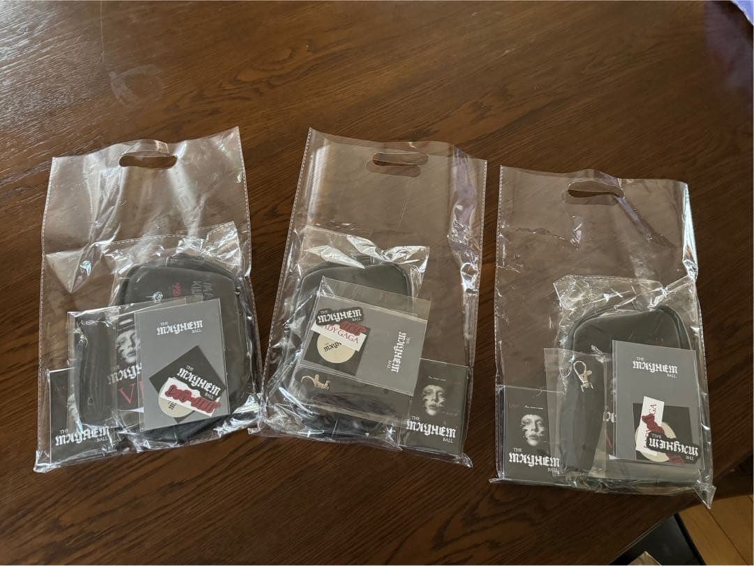 ミュージシャン Lady Gaga The Mayhem Ball VIP