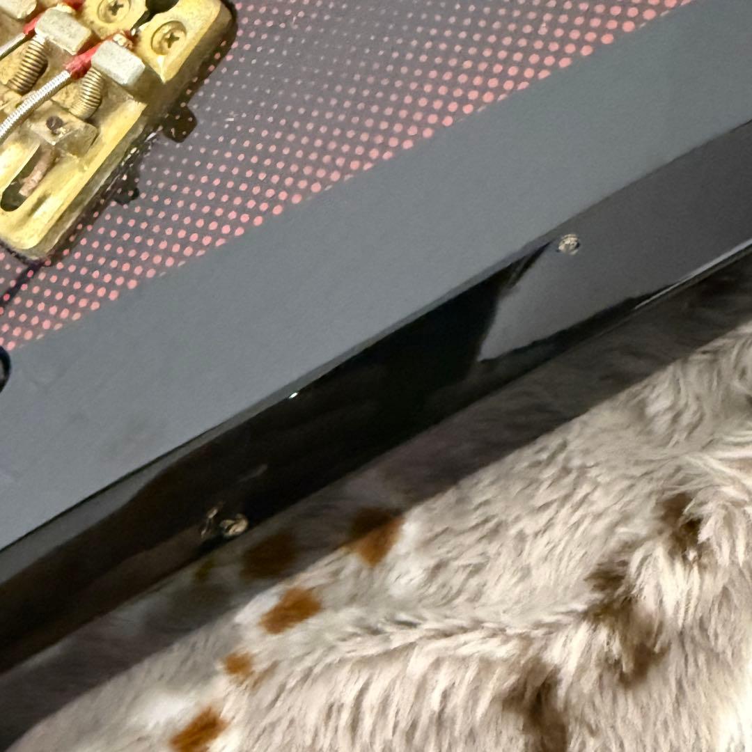 希少！ Aria Pro II ZZB Deluxe 1984年製 日本製