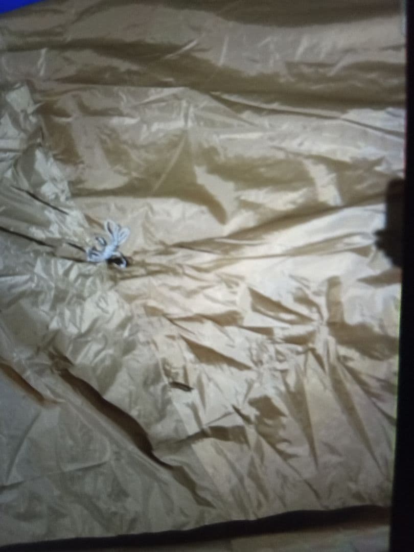 DOD　わがやのテント　Lサイズ