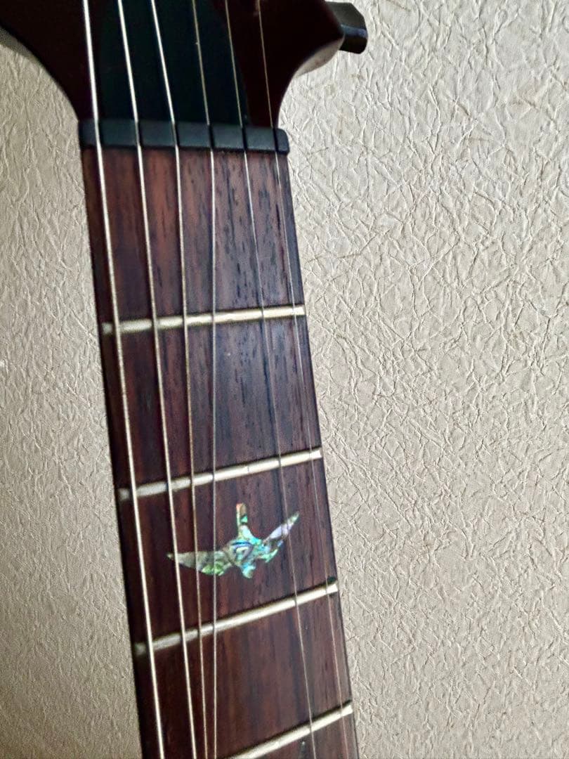 【希少モデル】PRS SE /SE Paul's Guitar Fire Red