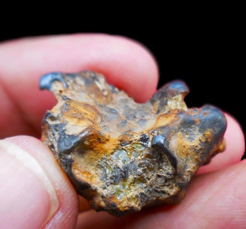 隕石 イミラック パラサイト 22.7g Imilac ⭐