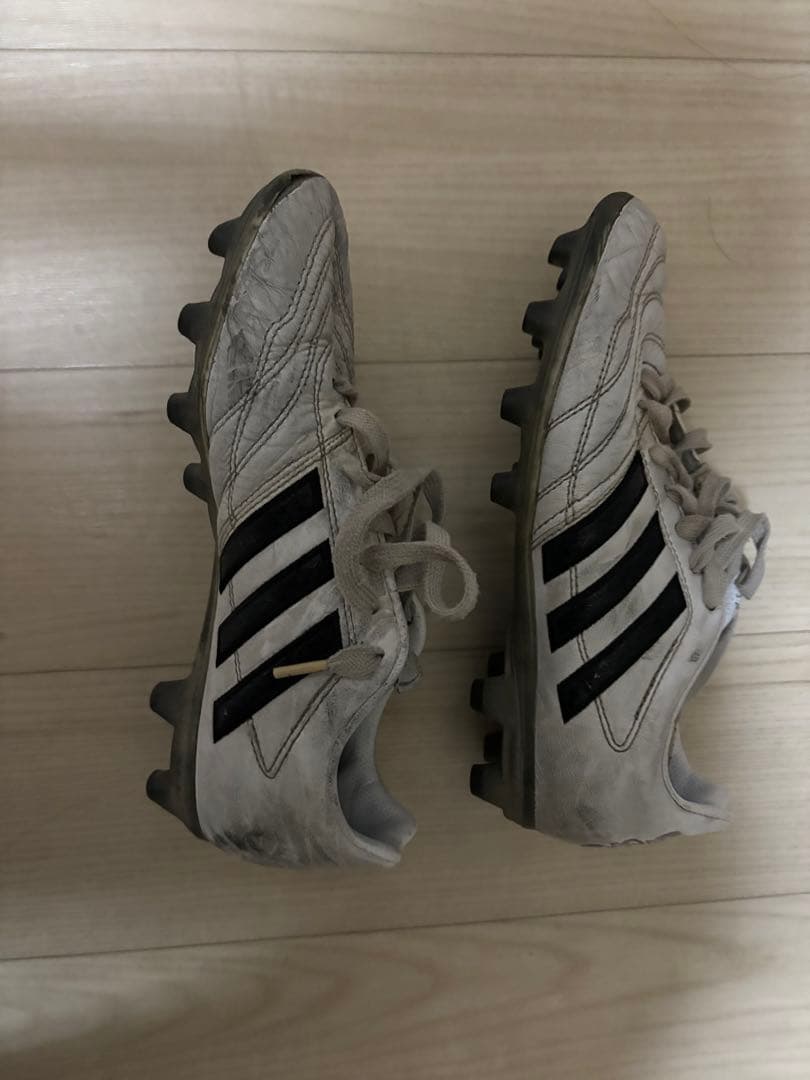 アディダスパティークグロー