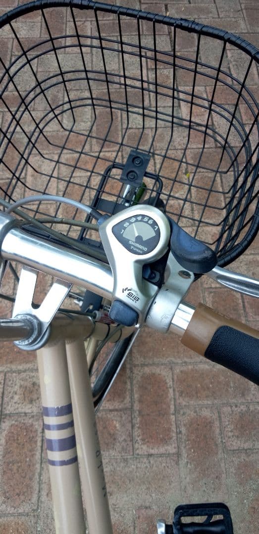 ブリジストン　アルミ軽量ミニベロ(20㌅)　大阪府八尾市 お引取り限定[配達可]