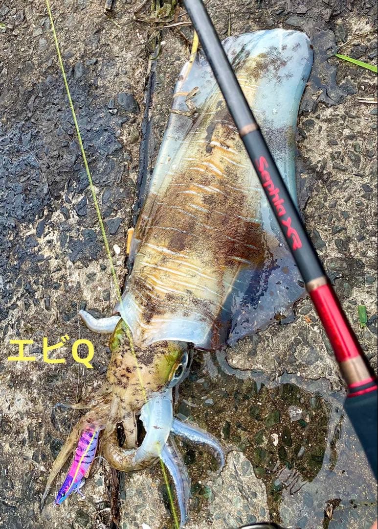 デュエル　ヨーズリ　エギ　エビQ・マグQ・マグネットSS