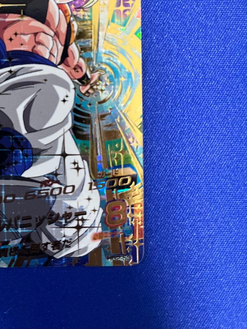 HG2-53 ゴジータ +おまけ