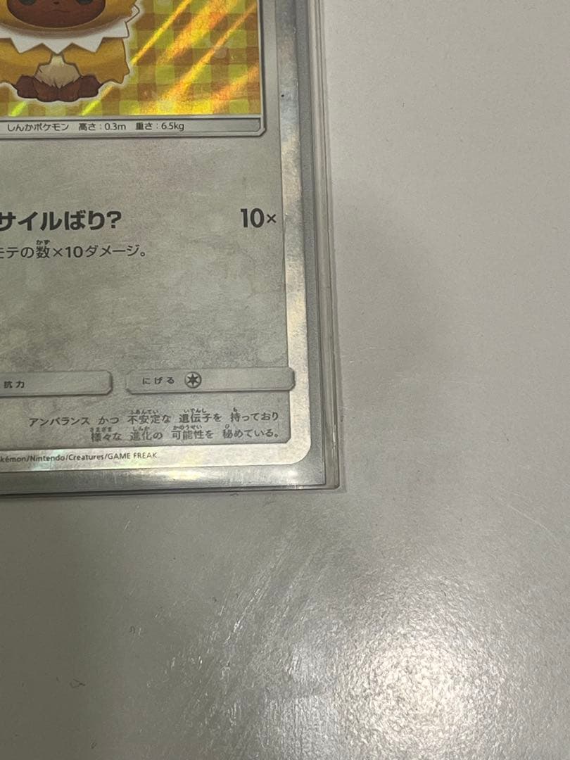 ポンチョを着たイーブイ サンダース 目立つ傷などなし