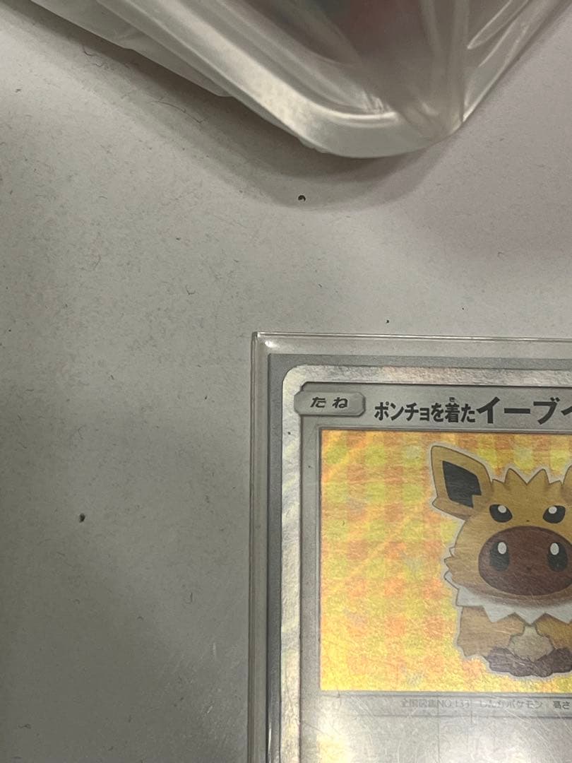 ポンチョを着たイーブイ サンダース 目立つ傷などなし