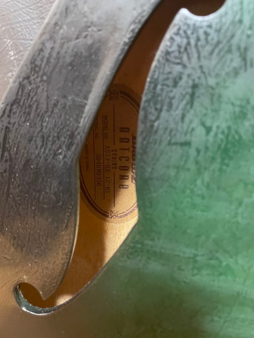 グラデーショングリーン エレキギター ハードケース付き