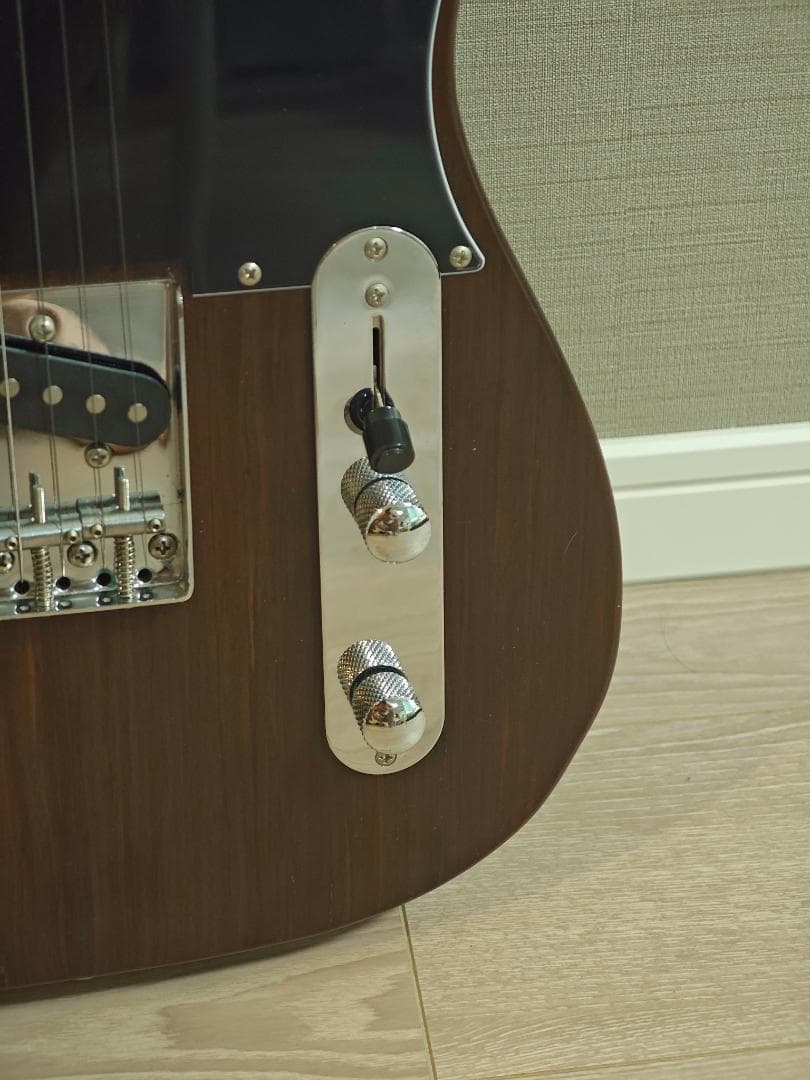 Bacchus Universe BTE-TW Tele 中古 ケース付き