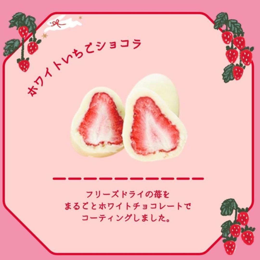 新品未開封 松風屋 いちごの日 4缶セット 2026 バレンタイン お菓子缶