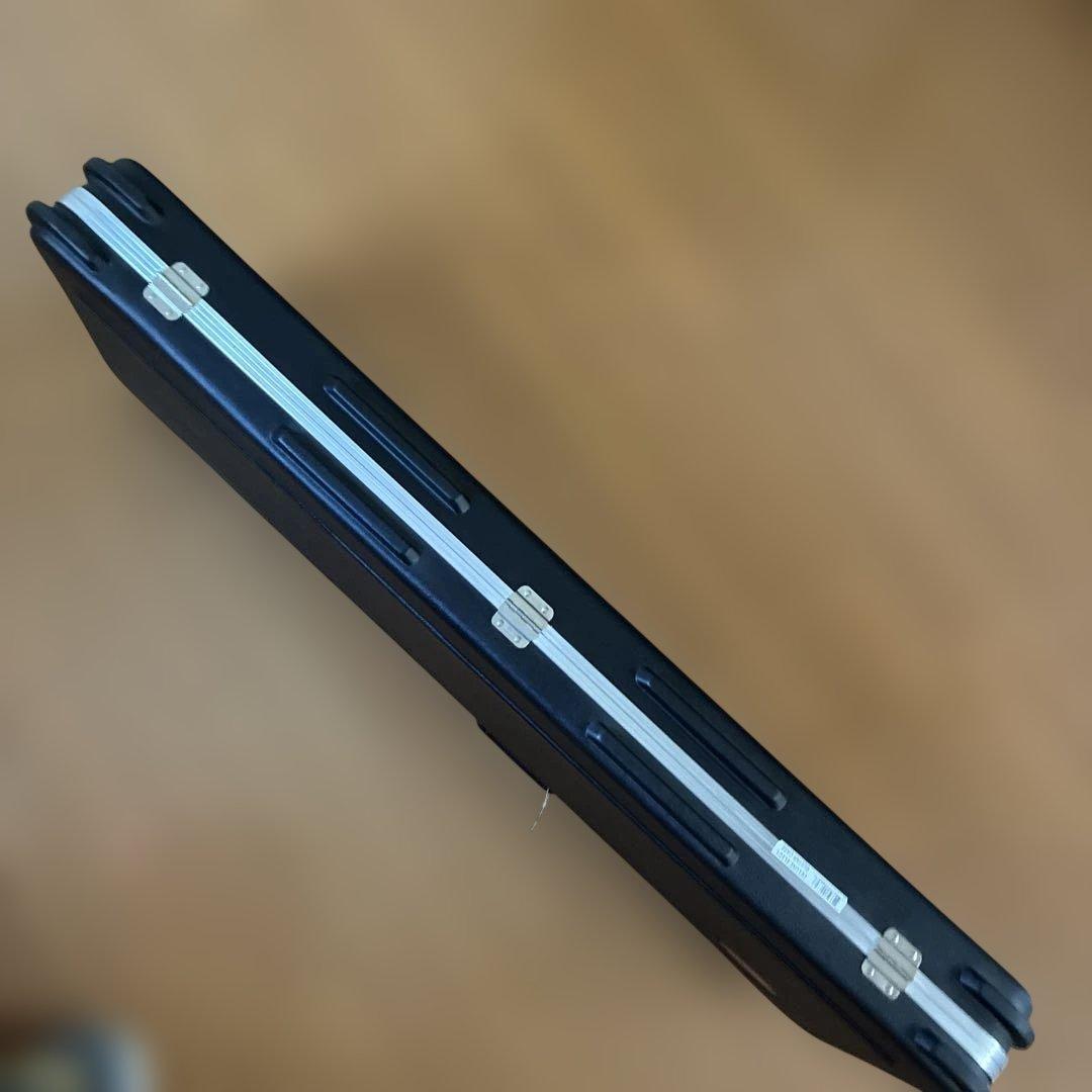 SKB エレクトリックハードケース