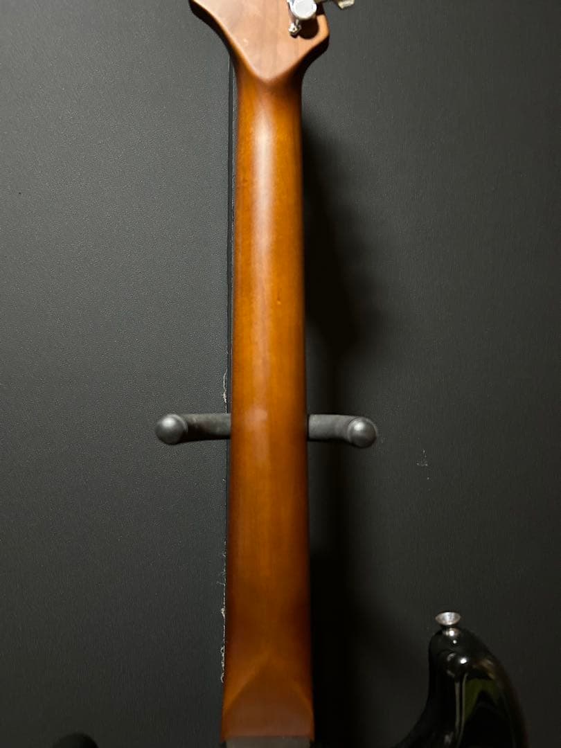 BLUSTER'S ローステッドネック