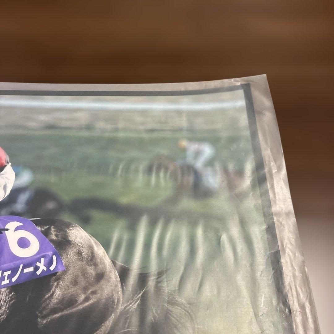 第147回天皇賞（春） フェノーメノ