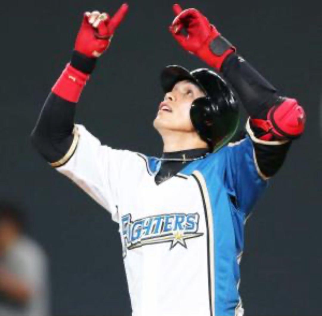 陽岱鋼　エルボーガード　プロ支給品