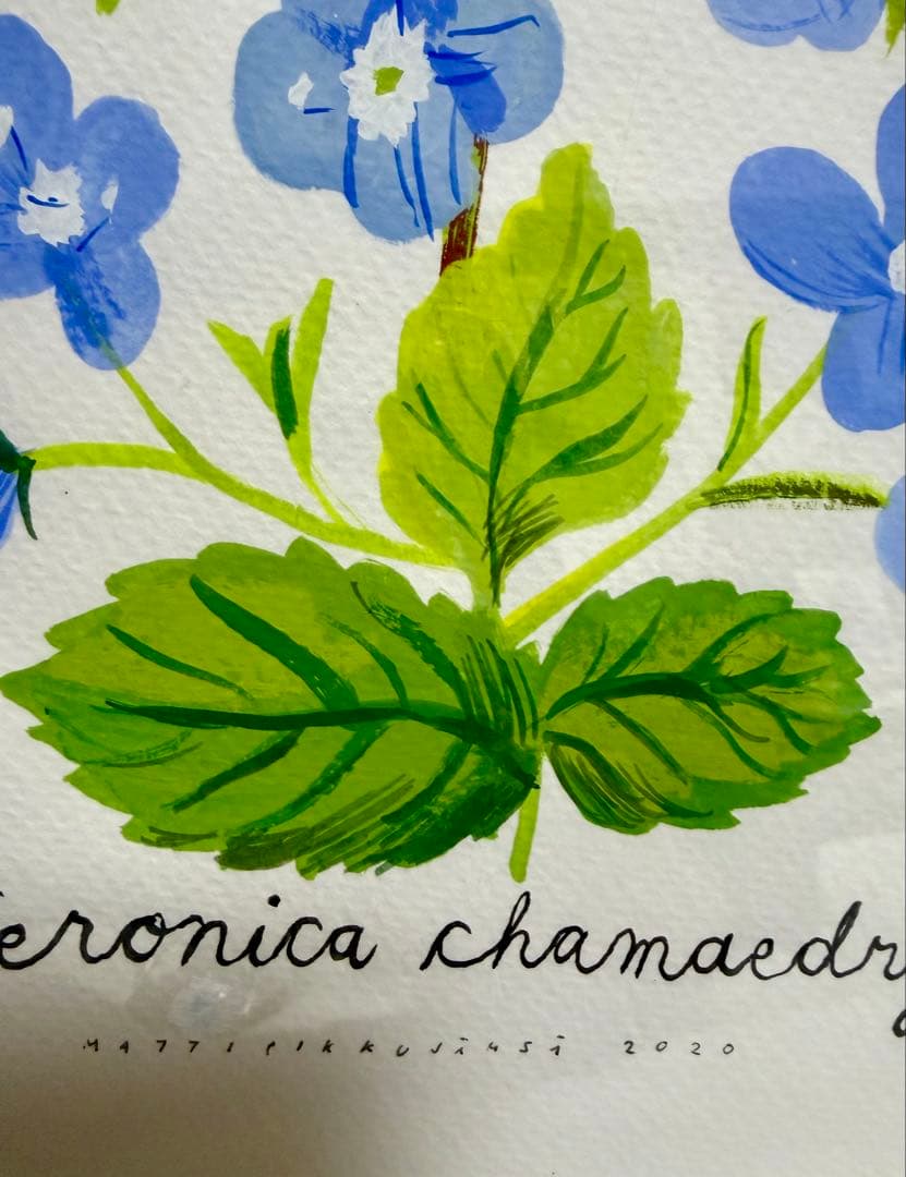 北欧　フィンランド　マッティ・ピックヤムサ　直筆水彩画　フレーム付き