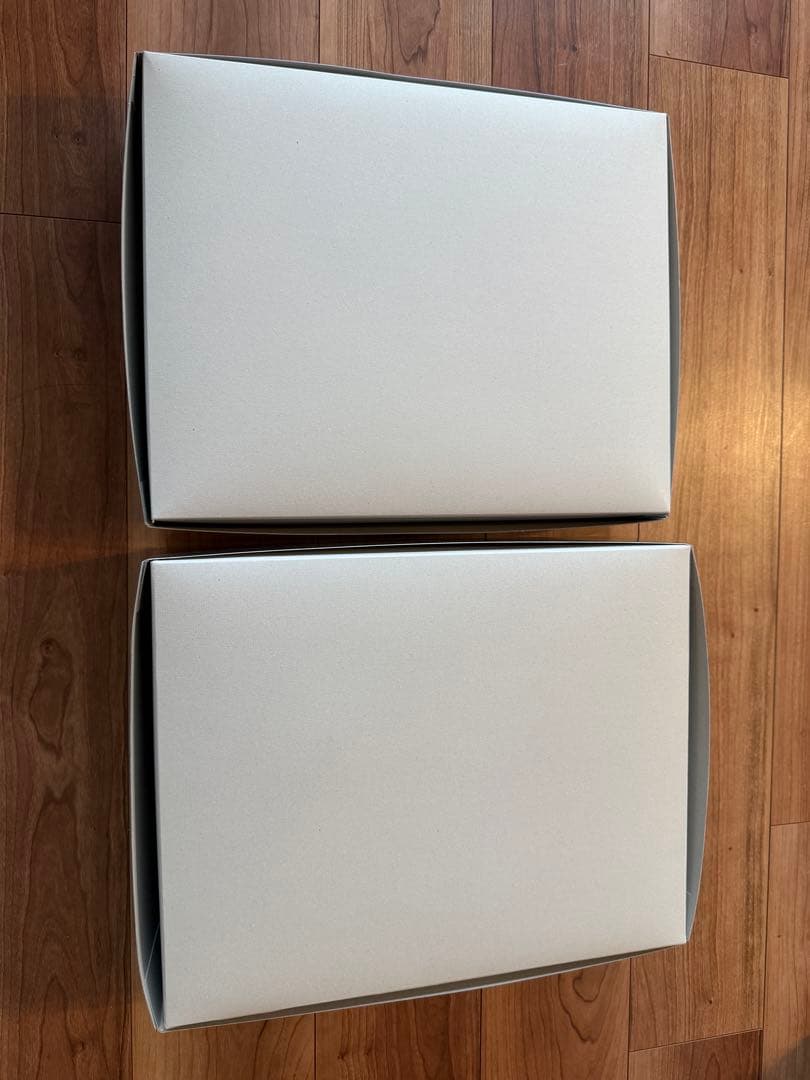 ＭＧ 1/100 ジム・ドミナンス＆ジム・ドミナンス（フィリップ・ヒューズ機）