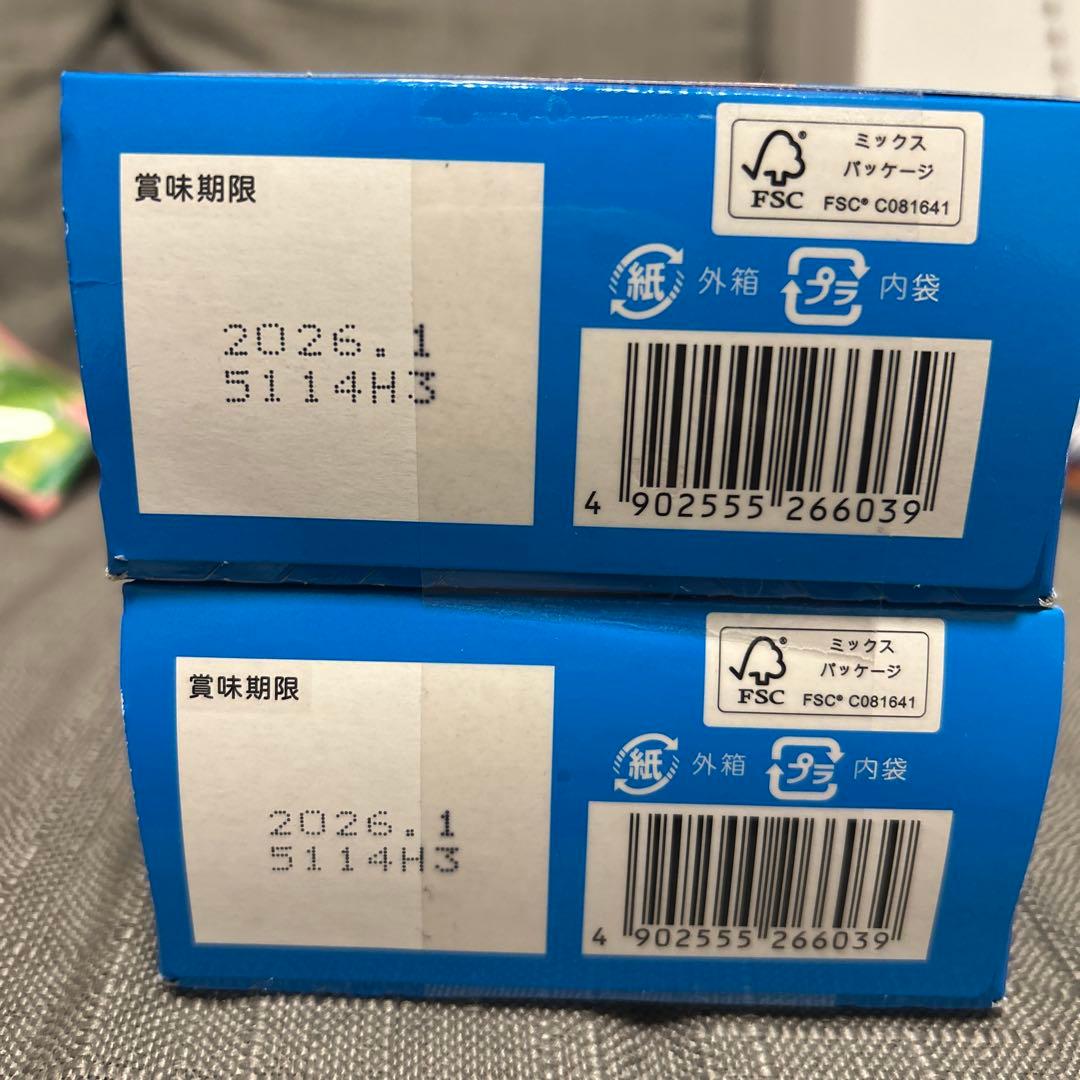 アミューズメント品　お菓子まとめ売り　全109点！